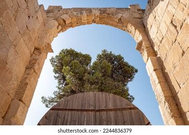 Roman Ruins Jerash Jordan Stock Photo 2244836379 Shutterstock