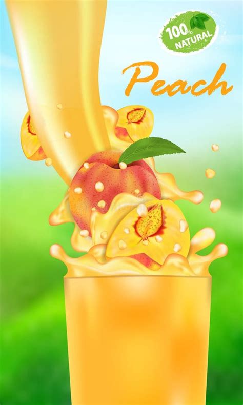 Peach Realistic Fruit And Juice Splash Vector Illustration Stock Vector Illustration Of