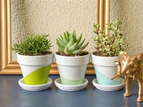 The Best Cacti and Succulents for Your Office Desk - World of Succulents