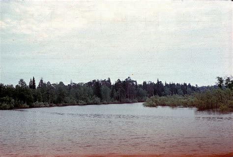 7 | залило | GDTm Net | Flickr