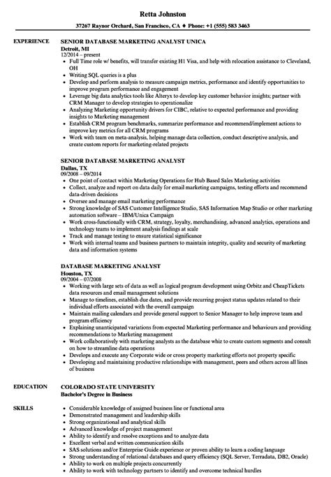 Database Marketing Analyst Resume Samples Velvet Jobs