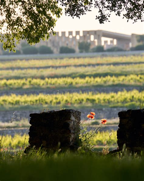 Le Château de Selle Domaines Ott