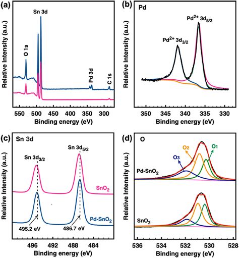 XPS Analysis For SnO2 And Pd SnO2 Products A Survey Spectra B