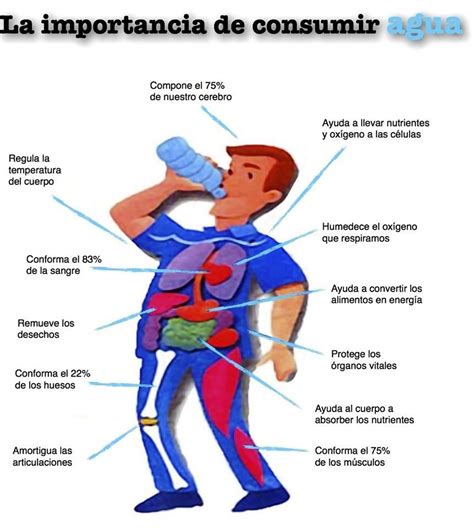 Diagrama De Venn Sobre La Importancia Del Agua Importancia D