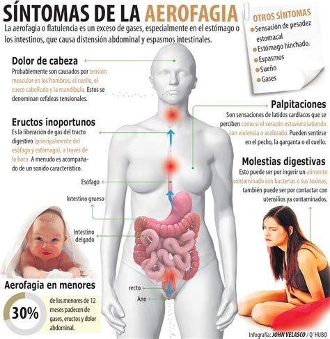 Estomago Inflamado Y Gases