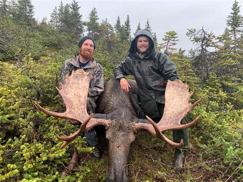 British Columbia Moose Hunting Photos North River Outfitting