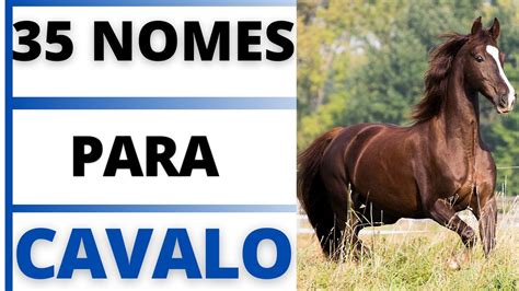 Nomes Para Cavalo Branco