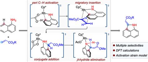 Mechanism And Origins Of Regiochemical Control In Rh III Catalyzed