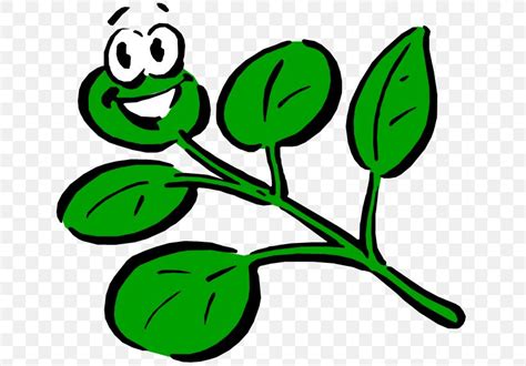 Plant Cartoon Drawing Clip Art, PNG, 645x571px, Plant, Art, Artwork, Black And White, Botany ...