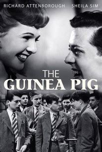 The Guinea Pig - Rotten Tomatoes