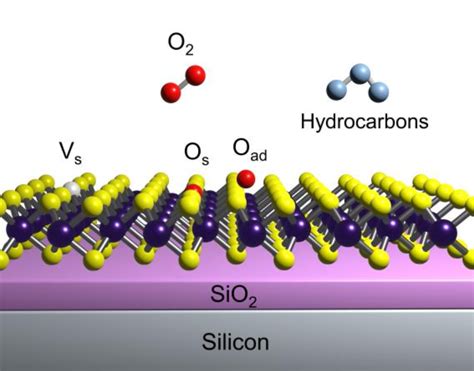 Understanding Interplay Of Defects Oxygen And Strain In D Materials