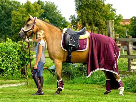 Pin von Mel Merlin auf Equestrian | Pferde mädchen, Pferde, Pferd und ...