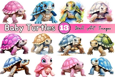 Baby Turtles Wall Art Images Bundle