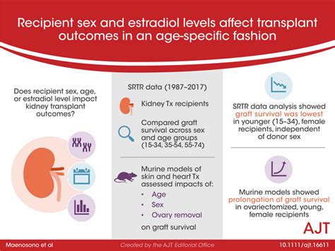 Recipient Sex And Estradiol Levels Affect Transplant Outcomes In An Age