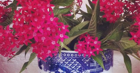 Absolutely Beautiful Things Random Pretty Things