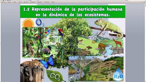 Dinamica De Un Ecosistema