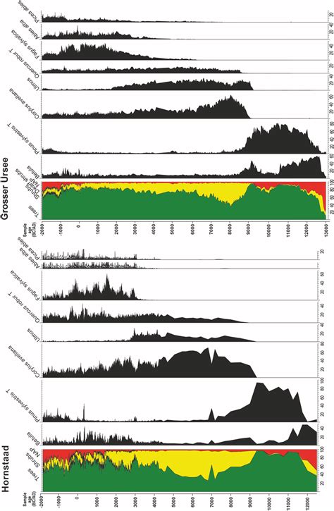 Simplified Pollen Diagrams Of Hornstaad Western Bodensee Lake