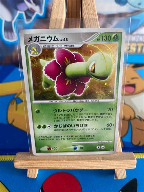 Voggt Buy Meganium Holo Dp