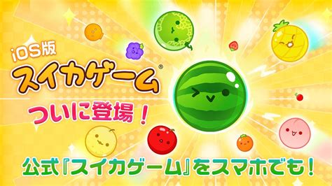 スマホ版「スイカゲーム」ついにリリース！ Ios版の提供を開始 ネット「キタァ！」 マイナビニュース