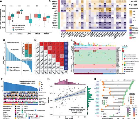 Frontiers M A Regulators Mediated Methylation Modification Patterns