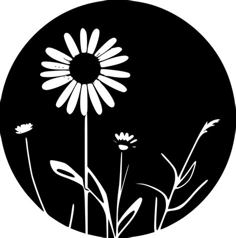 Daisy Black And White Isolated Icon Vector Illustration