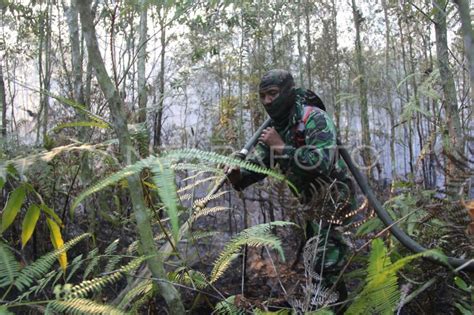 Karhutla Kembali Terjadi Di Dumai Antara Foto