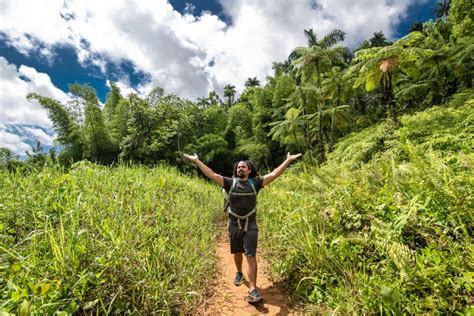 Da San Juan Tour Combinato Di Escursione Nella Foresta Di El Yunque E