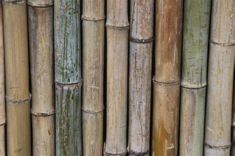 Como Decorar Bambu Passos