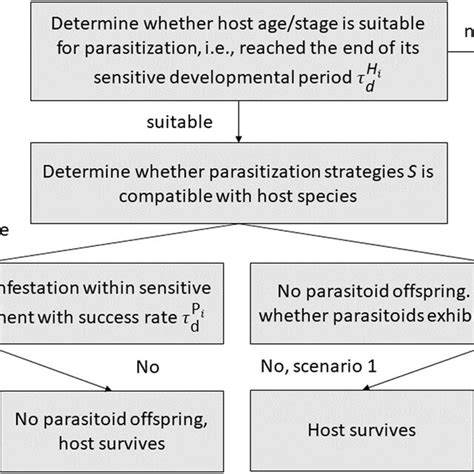 Stages Of Host Exploitation By Parasitoid Wasps Parasitization And Download Scientific