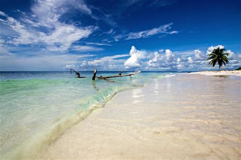 Saona Beach Stock Photo Image Of Island Altagracia 66465276