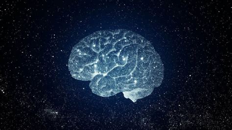 Científicos Descubren Similitudes Entre El Cerebro Y Las Galaxias Pravia