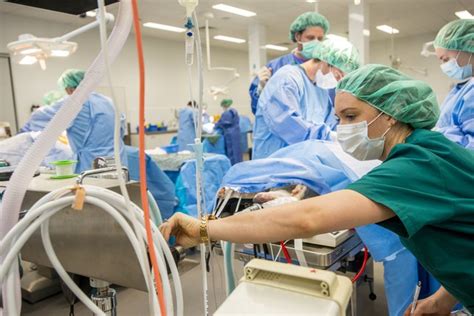 Salary Of A Physicians Assistant In Anesthesiology Sapling