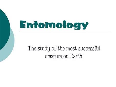 Ppt Entomology Powerpoint Presentation Free Download Id4727252