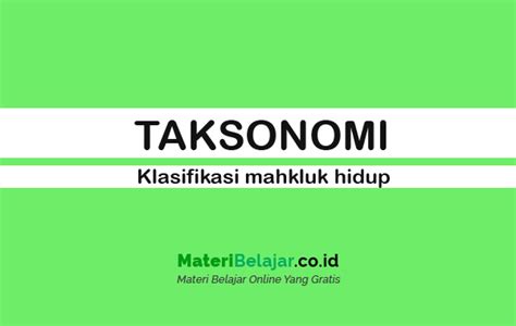 Detail Contoh Taksonomi Tumbuhan Koleksi Nomer