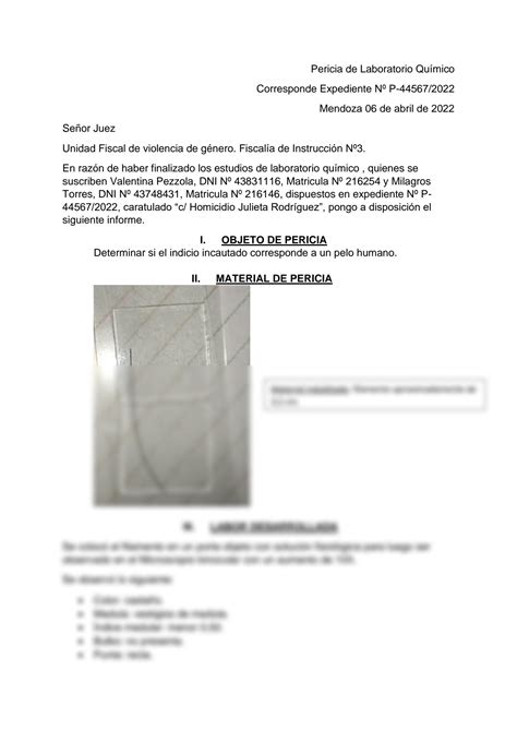 SOLUTION Ejemplo De Informe Quimico Forense Pelos Studypool