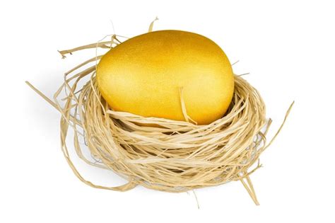 Premium Photo Golden Egg In Nest Isolated On White Background