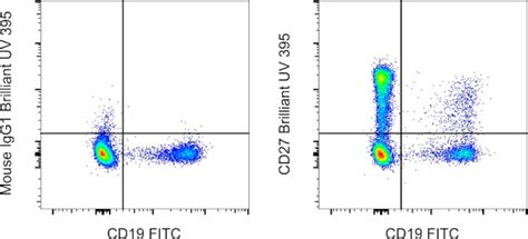 Cd27 Monoclonal Antibody O323 Brilliant Ultra Violet™ 395 363 0279 42