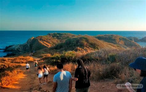 Fra Huatulco Mazunte Og Punta Cometa Tur Getyourguide