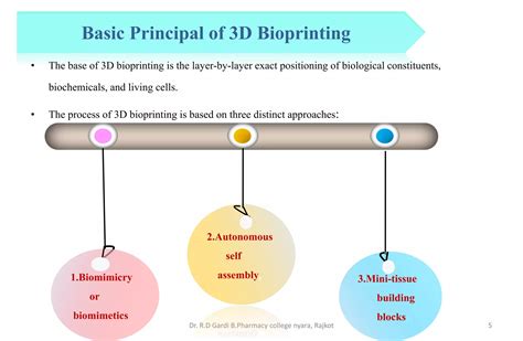 D Bioprinting Principle Techniques And Its Application In Human