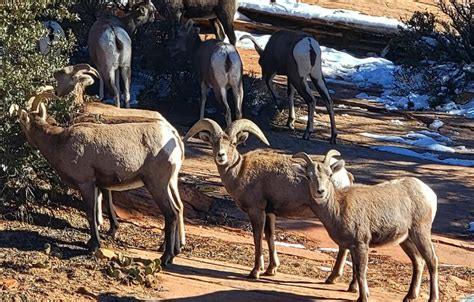 South Coyote Buttes | Utah Guided Tours