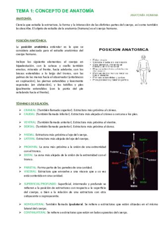 PRACTICA 1 Columna Vertebral Atlas Y Axis Pdf