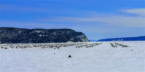 La pêche blanche sur le fjord du Saguenay