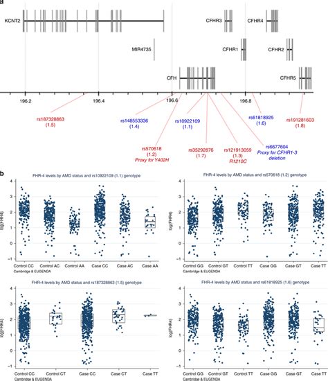 Four AMD Risk Variants At The CFH Locus Are Strongly Associated With