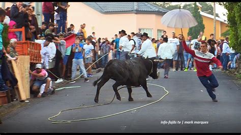 Tourada Corda Na Urzelina Ilha De S O Jorge Youtube