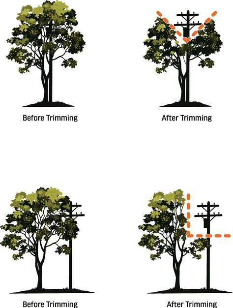 Tree Trimming - New Braunfels Utilities Website