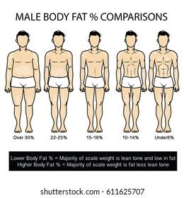 422 Body Fat Percentage Woman Images, Stock Photos & Vectors | Shutterstock