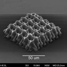 Sem Images Of Different D Structures Fabricated By Two Photon