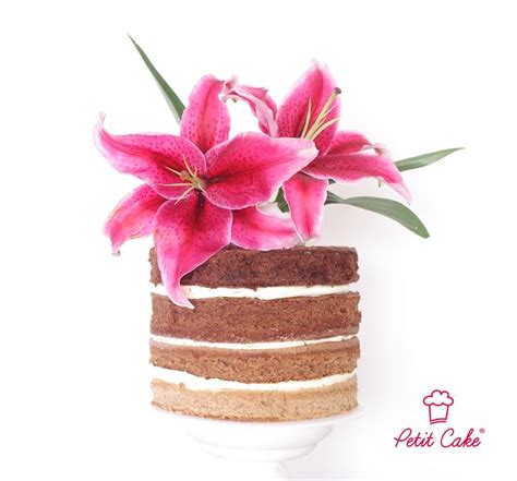 Nude Cake Tortas Medellin Tortas Medell N