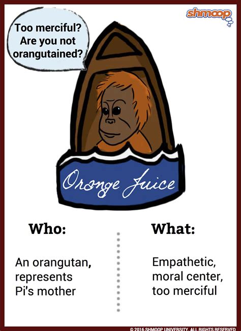 Pi's Mother / Orange Juice in Life of Pi