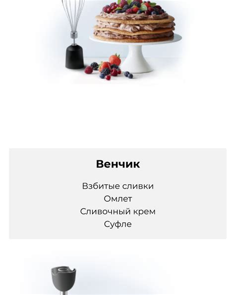 Блендер погружной GARLYN HB-310 купить в официальном магазине GARLYN ...